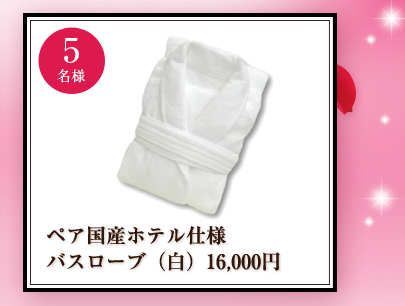 �y�A���Y�z�e���d�l�o�X���[�u�i���j16,000�~