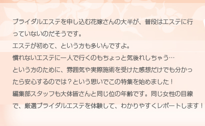 [�u���C�_���G�X�e�̌����W]�u���C�_���G�X�e�i�r���W���