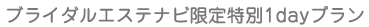 [�u���C�_���G�X�e�̌�]�u���C�_���G�X�e�i�r�������1day�v����