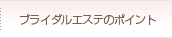 �u���C�_���G�X�e�̃|�C���g