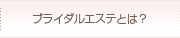 �u���C�_���G�X�e�Ƃ́H