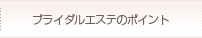 �u���C�_���G�X�e�̃|�C���g