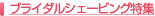 �u���C�_���V�F�[�r���O