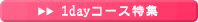 �u���C�_���G�X�eQ&A 1day�R�[�X���W