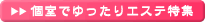 �u���C�_���G�X�eQ&A ���ł������G�X�e���W