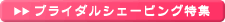 �u���C�_���G�X�eQ&A �u���C�_���V�F�[�r���O���W