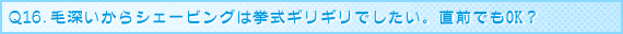 �u���C�_���G�X�eQ&A Q16.�ѐ[������V�F�[�r���O�͋����M���M���ł������B���O�ł�OK�H
