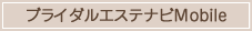 �u���C�_���G�X�e�E�G�X�e�E�u���C�_���V�F�[�r���O�E�u���C�_���E���É��E���F�\�Z�ŒT��