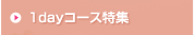 1day�R�[�X