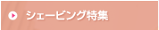 �V�F�[�r���O