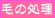�u���C�_���G�X�e�@�т̏���