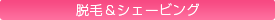 �u���C�_���G�X�e�@�E��&�V�F�[�r���O