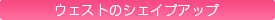 �u���C�_���G�X�e�@�E�G�X�g�̃V�F�C�v�A�b�v