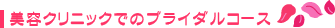 ���e�N���j�b�N�ł̃u���C�_���R�[�X