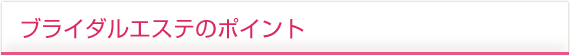 �u���C�_���G�X�e�̃|�C���g