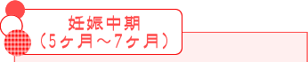 妊娠中期(5ヶ月〜7ヶ月)