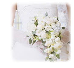 �D�w��������S�I�}�^�j�e�B�R�[�X���W