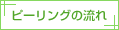 �s�[�����O�̗���