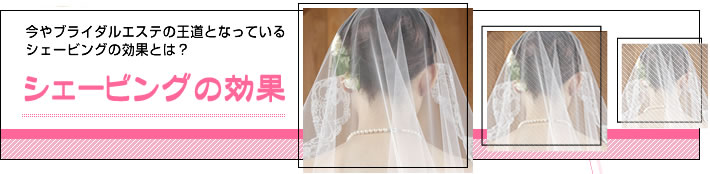 �V�F�[�r���O�̌���|����u���C�_���G�X�e�̉����ƂȂ��Ă���V�F�[�r���O�̌��ʂƂ́H