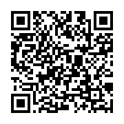 BLVブルー/Style Group StyleView大井町店の携帯用店舗QRコード