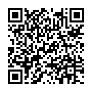BLVブルー/Style Group StyleView川越店の携帯用店舗QRコード