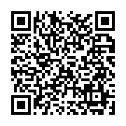 BLVブルー/Style Group StyleView川口店の携帯用店舗QRコード