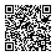 BLVブルー/Style Group StyleFine岐阜駅前店の携帯用店舗QRコード