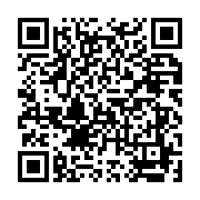 BLVブルー/Style Group StyleFineつくば店の携帯用店舗QRコード