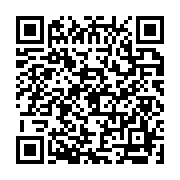 BLVブルー/Style Group StyleView晩翠通り店の携帯用店舗QRコード