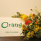[�u���C�_���G�X�e�T����]Orang�i�I�����j
