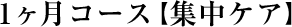 [�u���C�_���G�X�e�R�[�X]1�����R�[�X�y�W���P�A�z