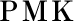 [�u���C�_���G�X�e�T����]PMK