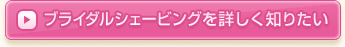 �u���C�_���V�F�[�r���O���ڂ����m�肽��