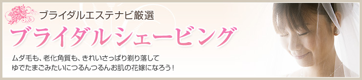�u���C�_���V�F�[�r���O