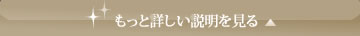 もっと詳しい説明を見る