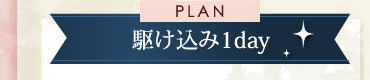 1dayコースの相場は2.5~4万円