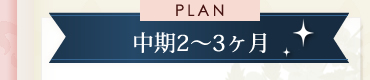 中期(2~3ヶ月)コースの相場は8~12万円