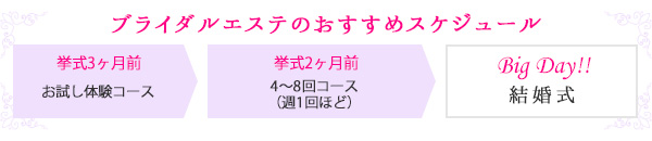 スケジュール