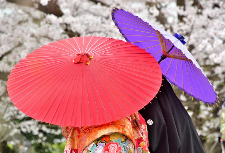 桜のブライダルイメージ