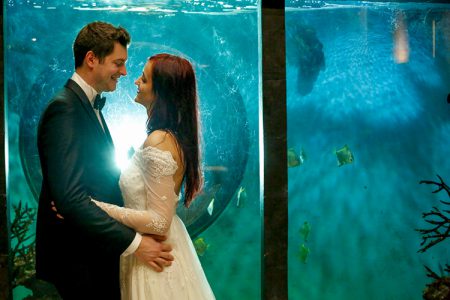 水族館で結婚式