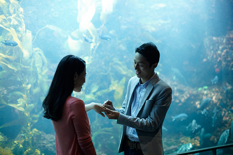 カップルと水族館