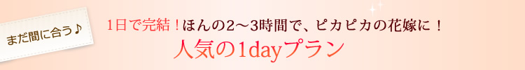 編集部オススメ！ブライダルエステ1日（1day）コース