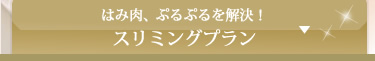 おすすめスリミングプラン