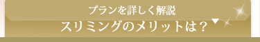 もっと詳しい説明を見る