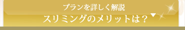 もっと詳しい説明を見る