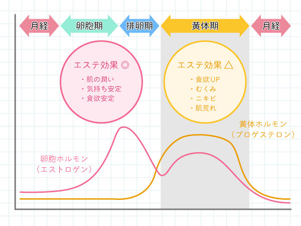 生理とホルモンバランスとエステ効果