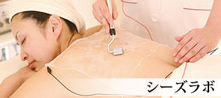 シーズ・ラボ
