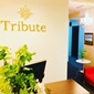 Tribute(トリビュート) 入野店