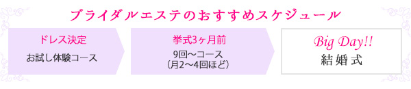 スケジュール